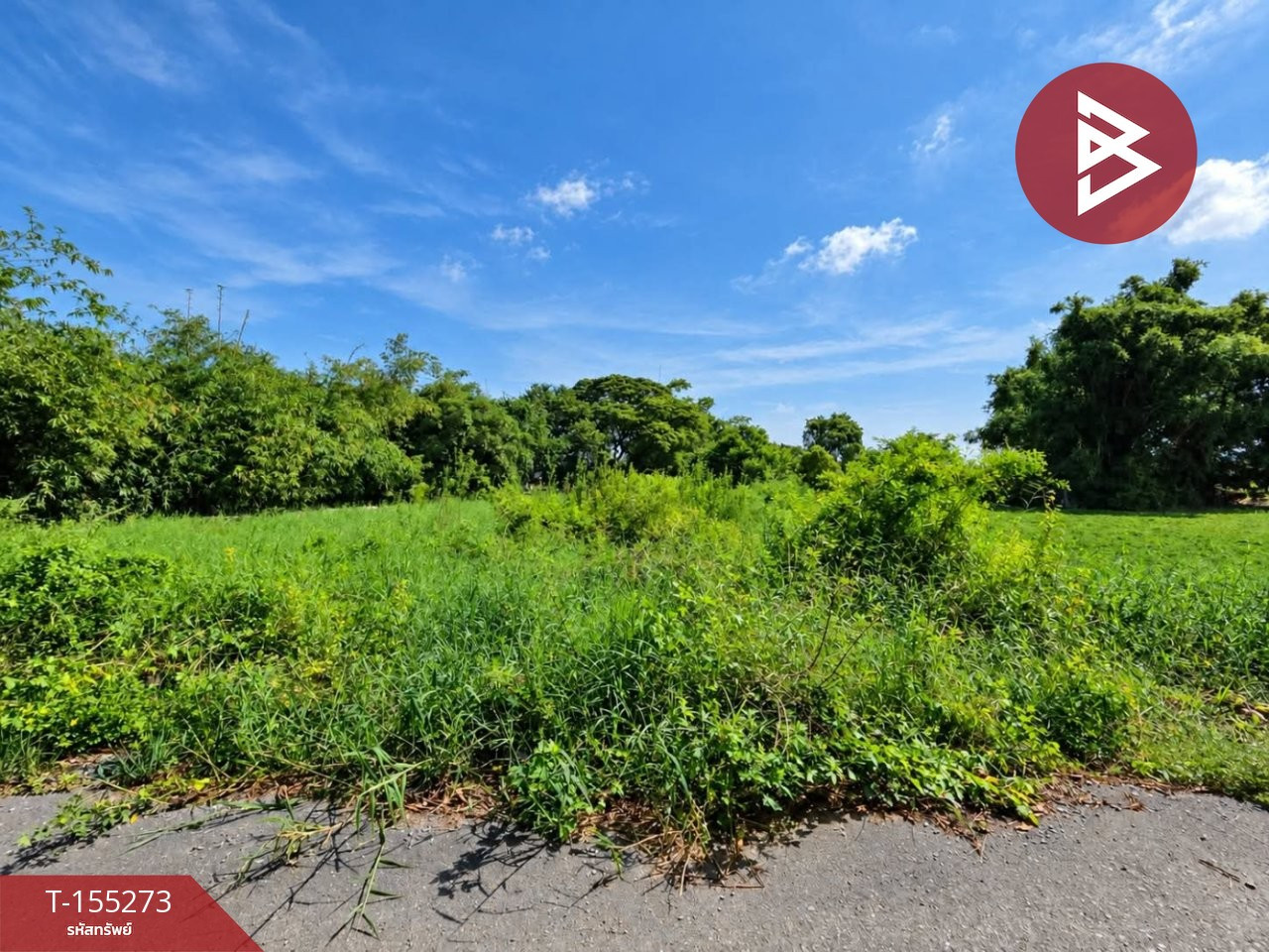 Land for sale, area 2 ngan, Bang Pla Ma, Suphan Buri. – รูปที่ 4