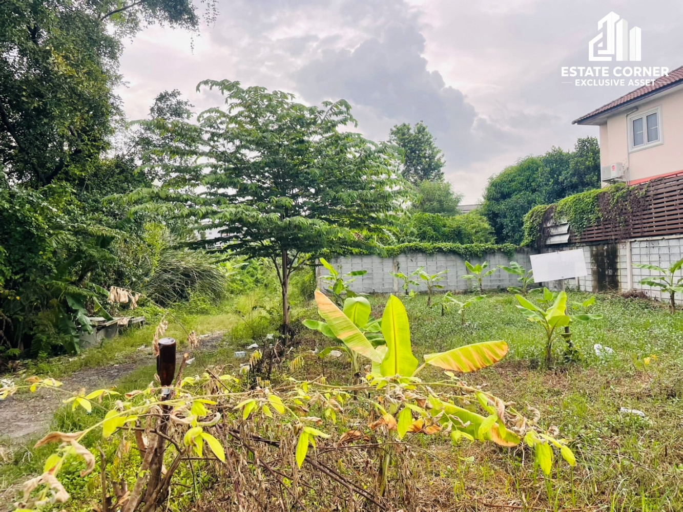 Land for sale, good location, Bang Kruai-Sai Noi Road. Near the Purple Line, Bang Phlu Station, cheap price. – รูปที่ 2