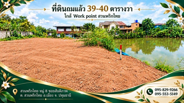 ขายที่ดินถมแล้ว 39-40 ตร.ว มี 5 แปลง วิวติดน้ำและ วิวทุ่งนา บรรยากาศดี ใกล้ Work point เหมาะสำหรับครอบครัวเล็ก สวนพริกไทย ปทุมธานี