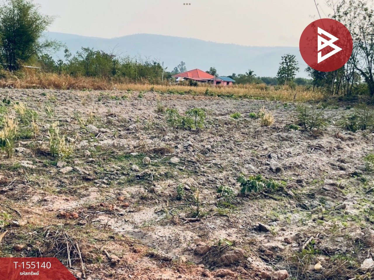 Empty land for sale, area 1 rai 5 sq m, next to Sappraiwan Market, Wang Thong District, Phitsanulok Province. – รูปที่ 3