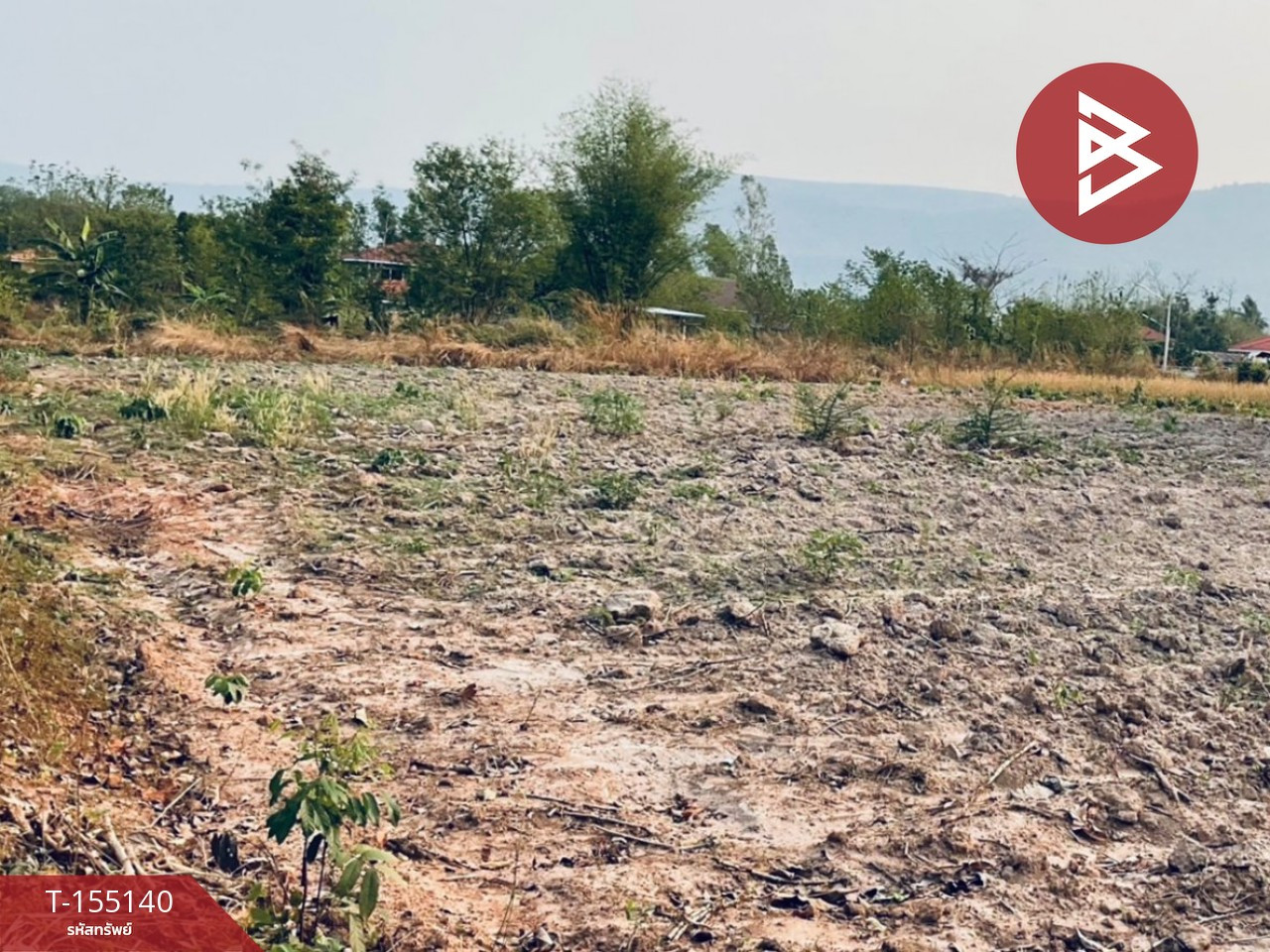 Empty land for sale, area 1 rai 5 sq m, next to Sappraiwan Market, Wang Thong District, Phitsanulok Province. – รูปที่ 2