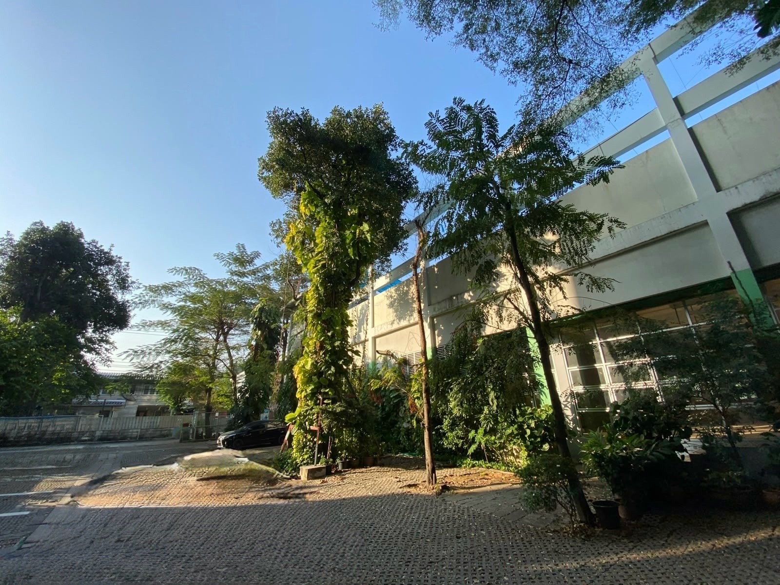Land for Sale in Charoen Nakhon Bangkok Near ICONSIAM with Redevelopment Potential 