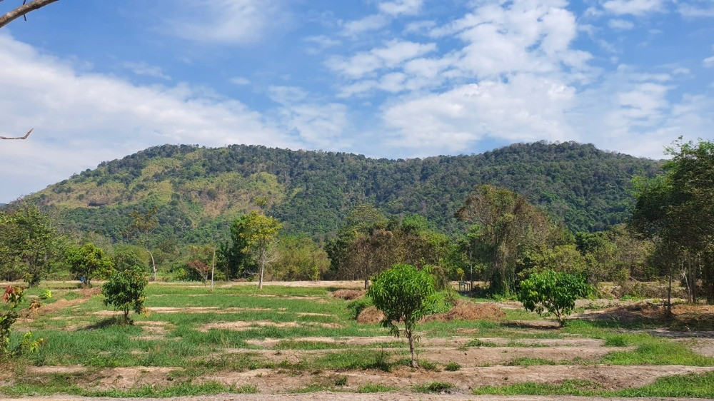 ขายที่ดินปราจีนบุรี 26 ไร่ 2 งาน 92 ตร.ว. ใกล้ทางขึ้นเขาใหญ่ ใกล้น้ำตกวังตะแคง วิวเขาอีโต้ ตำบลเนินหอม – รูปที่ 4