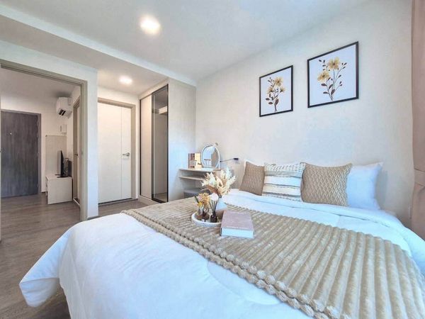 Kave wonderland for rent, large room, separate kitchen!!