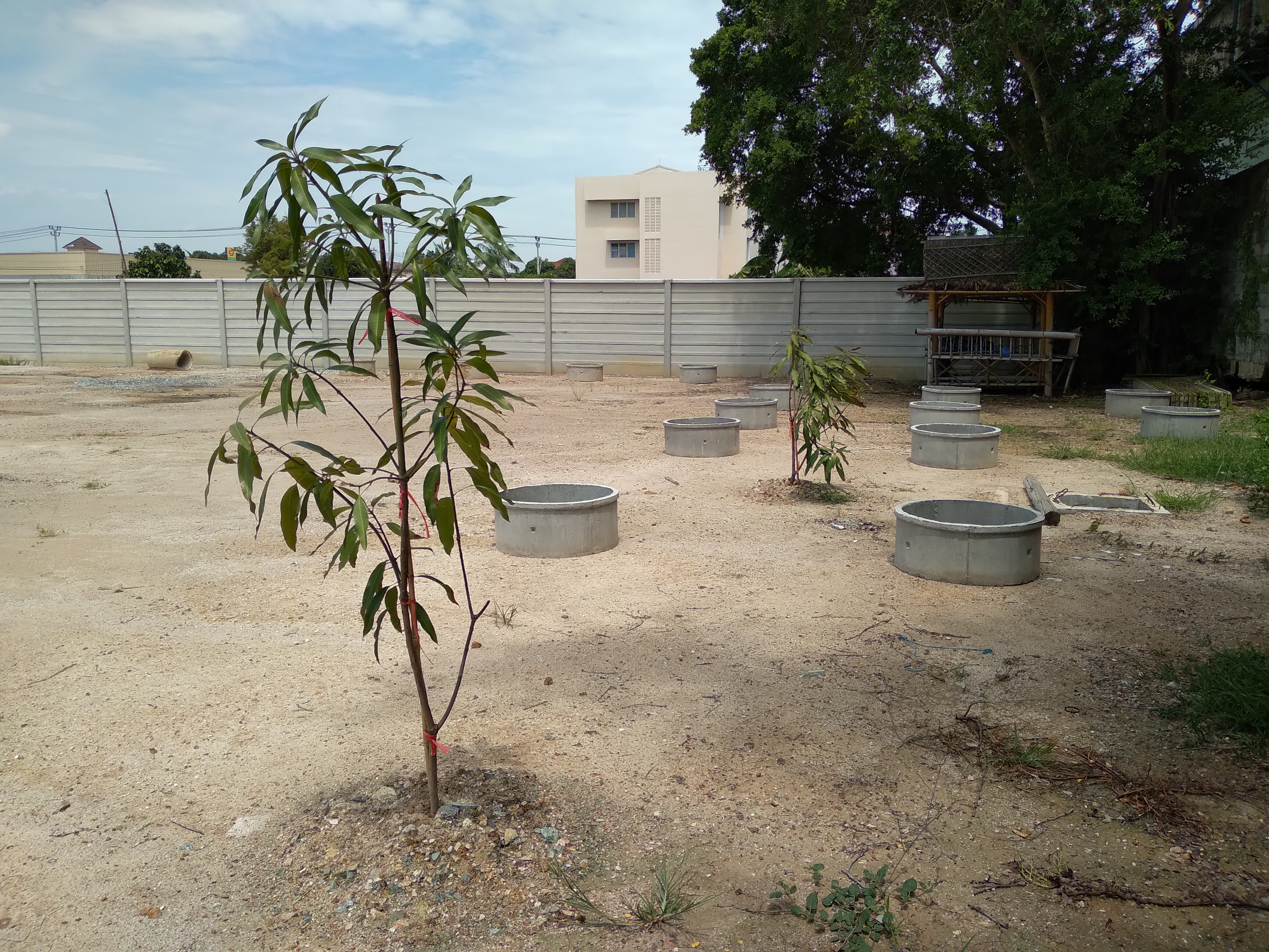 Selling either plots or selling land for Soi Bang Pla 2, Thepharak Road, Bang Phli, Samut Prakan – รูปที่ 4