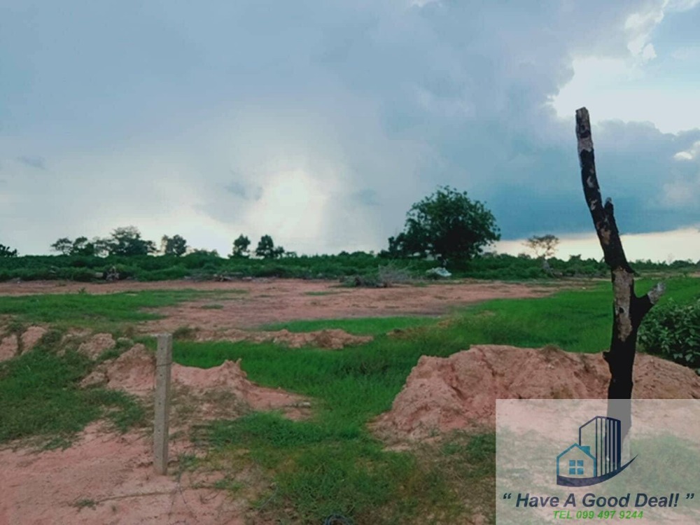 ที่ดินเปล่า 29-0-94 ไร่ ต.หนองงูเหลือม อ.เฉลิมพระเกียรติ นครราชสีมา – รูปที่ 4