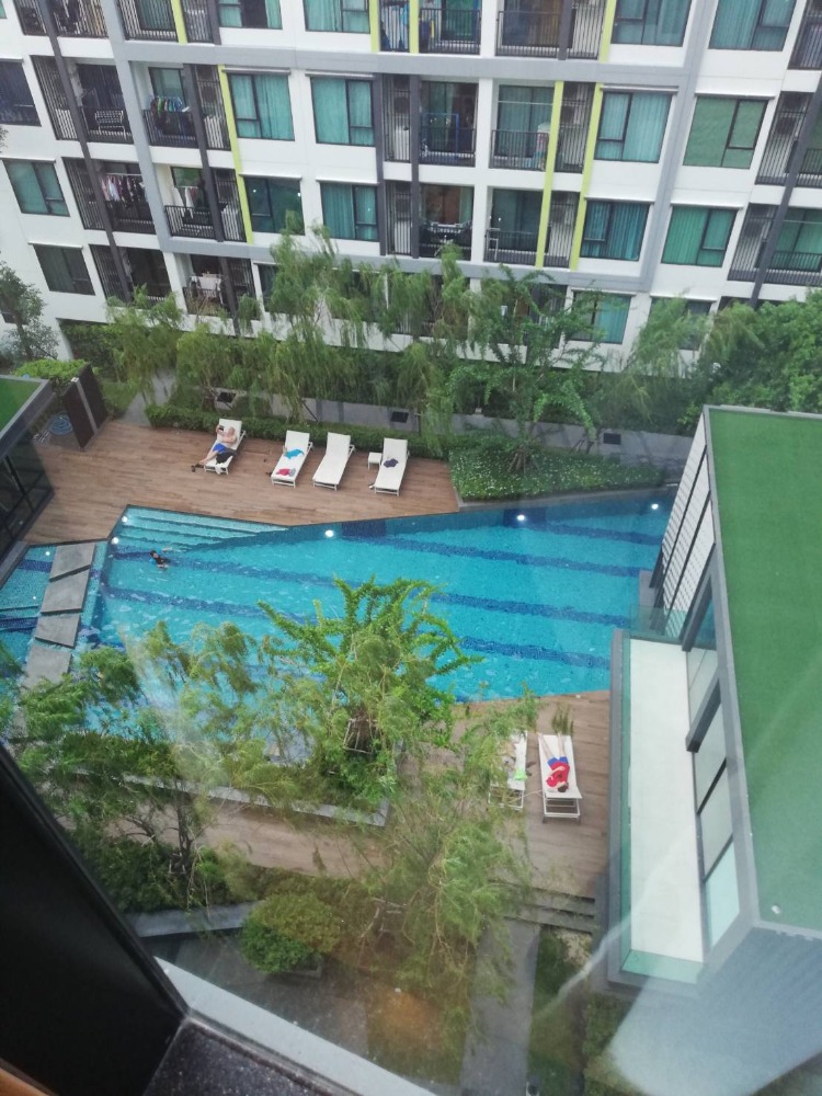 Condominium the niche mono sukhumvit 50 for rent Condominium the niche mono sukhumvit 50 for rent