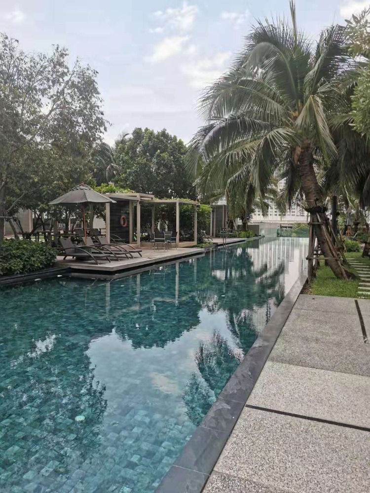 Condo the river for rent