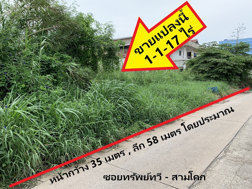 ขาย ที่ดินปทุมธานี  ซอยทรัพย์ทวี สามโคก - ปทุมธานี Ref. A01190702 – รูปที่ 2