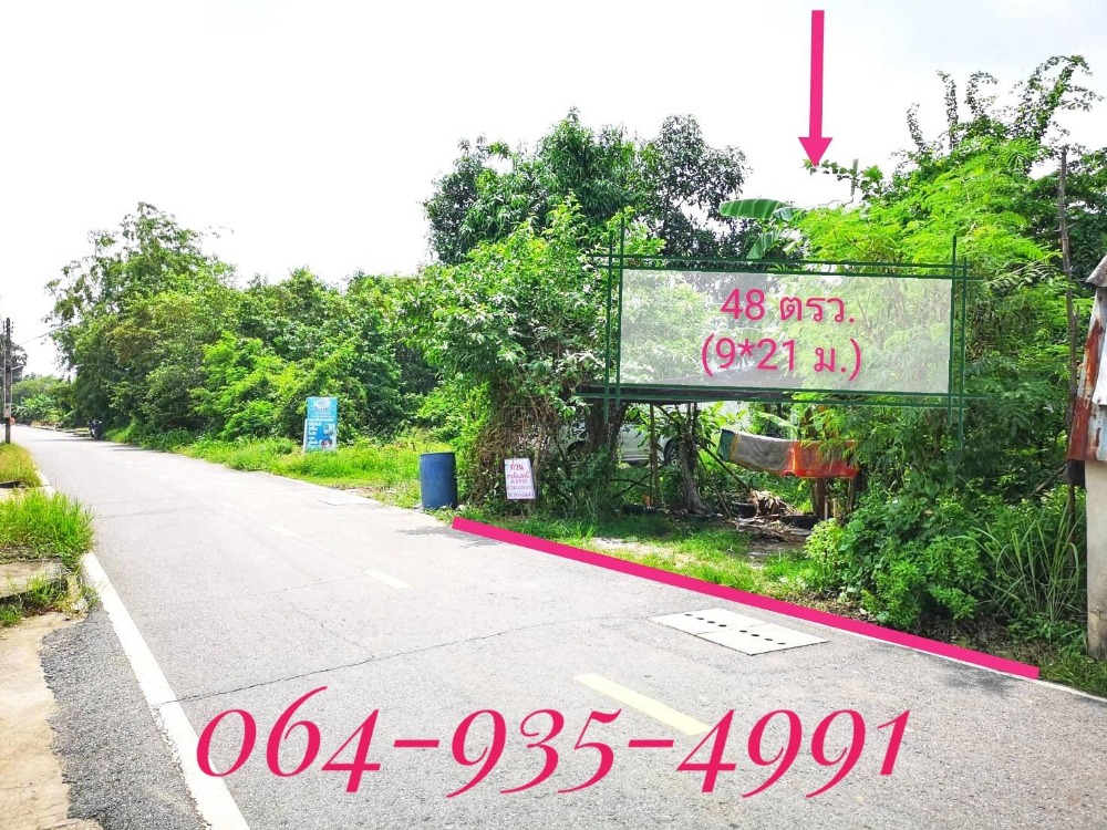 ขายด่วน!! ที่ดินเปล่า เนื้อที่ 48 ตรว. ทำเลดี ในเมืองบางคล้า ใกล้โรงเรียนบางคล้าพิทยาคม ขายด่วน!! ที่ดินเปล่า เนื้อที่ 48 ตรว. ทำเลดี ในเมืองบางคล้า ใกล้โรงเรียนบางคล้าพิทยาคม