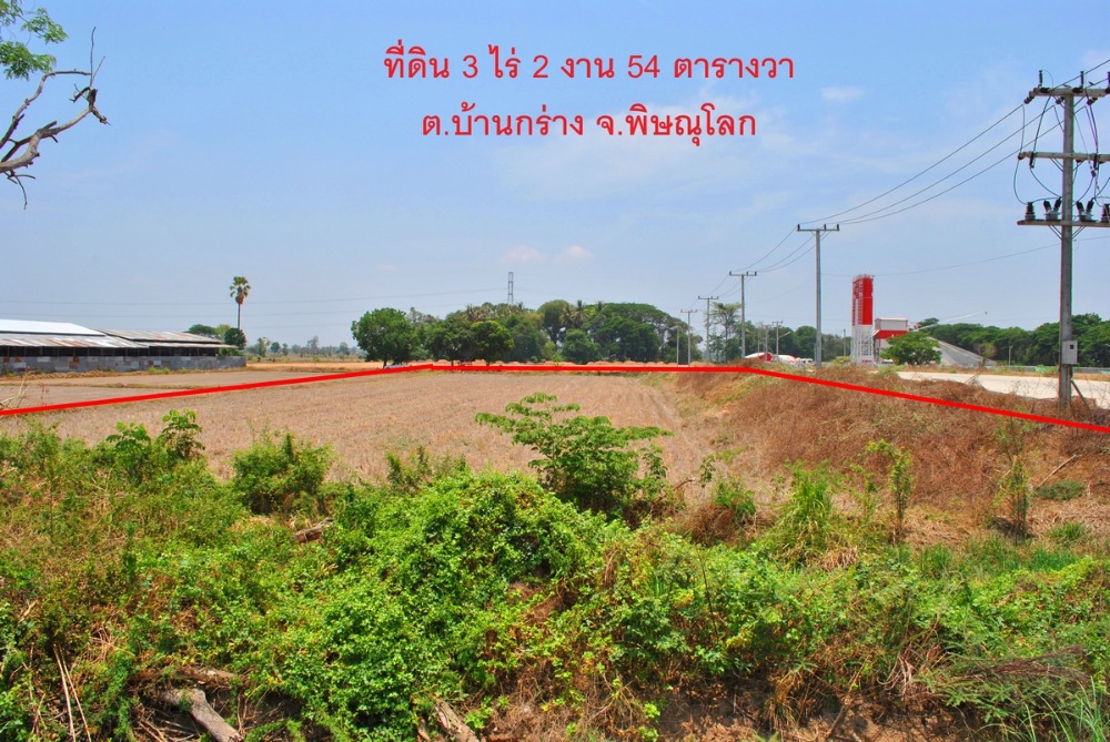 ขายที่ดิน 3-2-54 ไร่ ติดถนนใหญ่ ถูกมาก ห่างเซ็นทรัล พิษณุโลกเพียง 8 กม. ต.บ้านกร่าง อ.เมืองพิษณุโลก (LPHS01) – รูปที่ 2