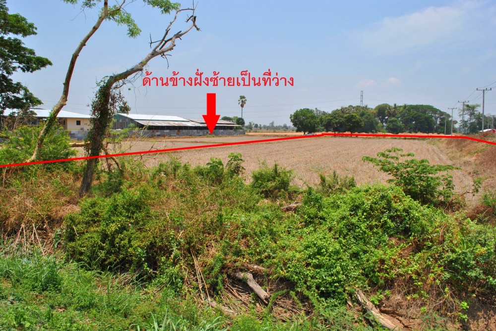 ขายที่ดิน 3-2-54 ไร่ ติดถนนใหญ่ ถูกมาก ห่างเซ็นทรัล พิษณุโลกเพียง 8 กม. ต.บ้านกร่าง อ.เมืองพิษณุโลก (LPHS01) – รูปที่ 4