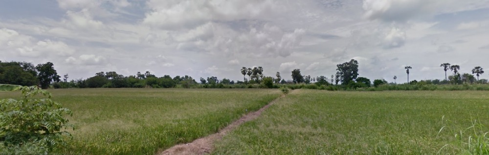 ขายที่ดิน 5 ไร่ อ.เก้าเลี้ยว จ.นครสวรรค์
