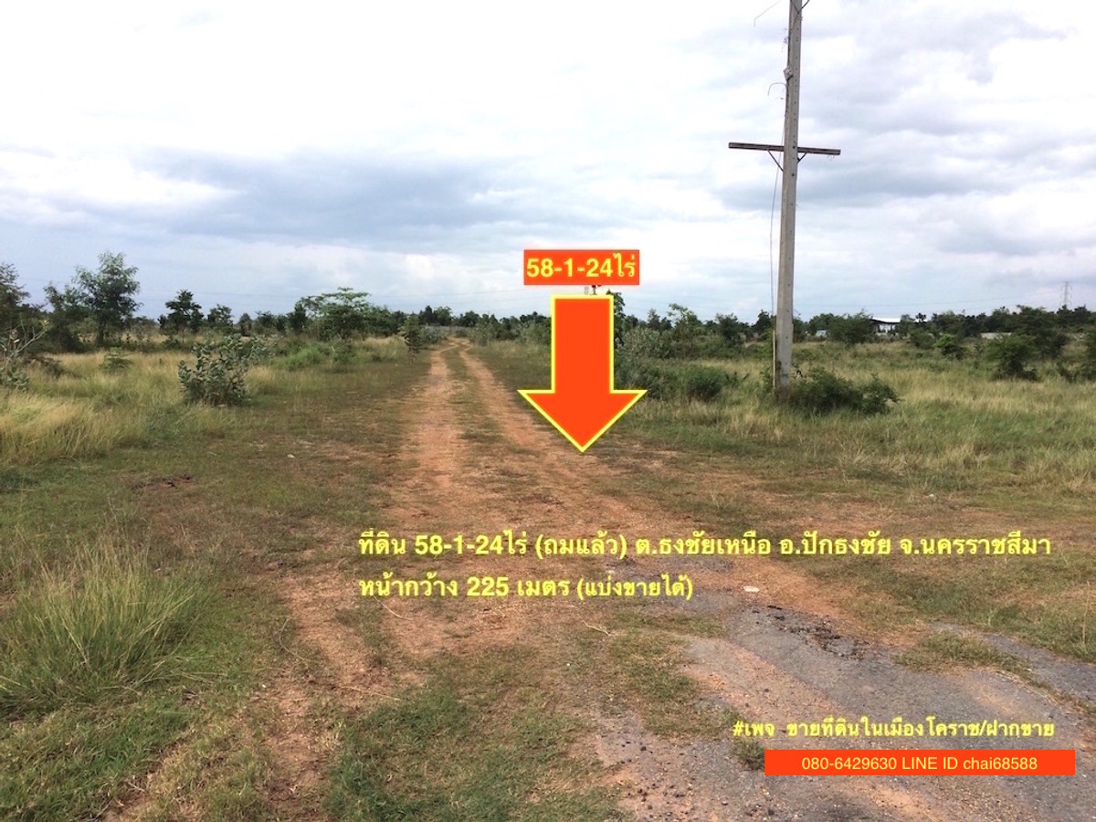 ขายที่ดินปักธงชัย ติดถนนหมายเลข24 เนื้อที่ 58-1-24ไร่ ใกล้แยกอวยชัย – รูปที่ 3