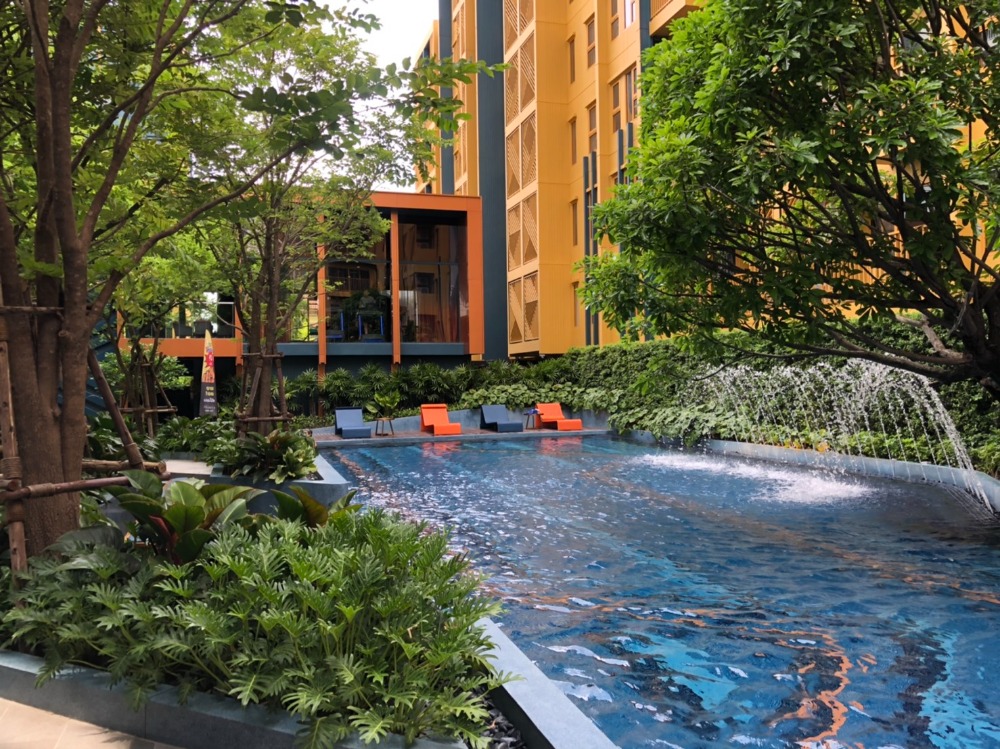 The base sukhumvit 50 for rent The base sukhumvit 50 for rent
