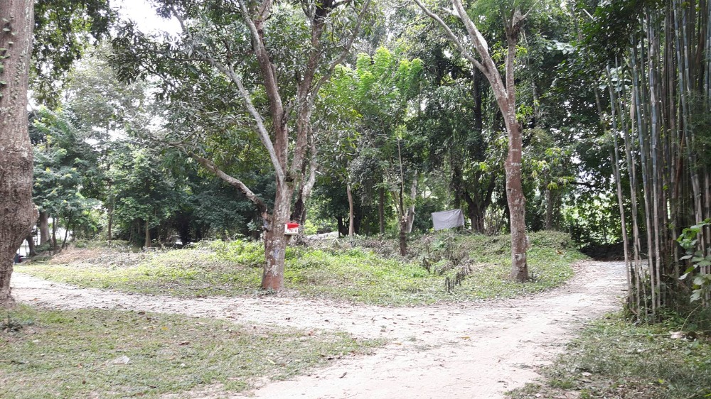 Land for rent near Rajamangala University of Technology Lanna, CMU, Soi Phra Nang. Land for rent near Rajamangala University of Technology Lanna, CMU, Soi Phra Nang.