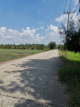 Land for sale in Sam Khok Pathum Thani, area of 22-3-97 rai, 88 meters wide, 406 meters deep, the road, 5 meters wide, total price 27.0 baht. Land for sale in Sam Khok Pathum Thani, area of 22-3-97 rai, 88 meters wide, 406 meters deep, the road, 5 meters wide, total price 27.0 baht.