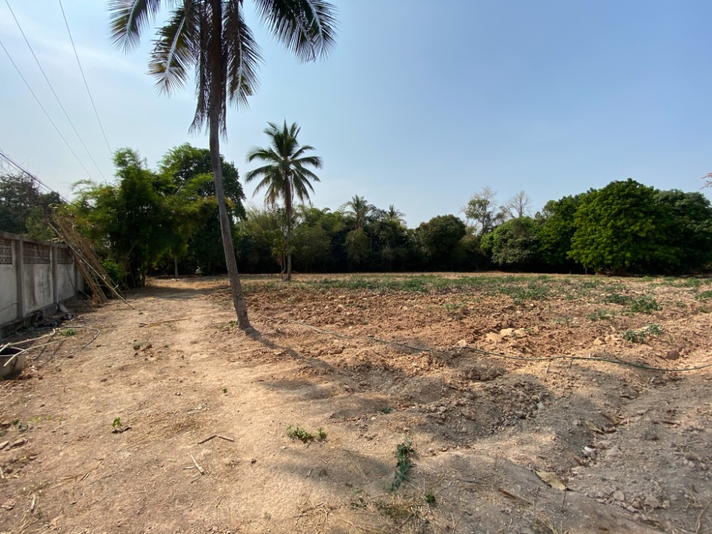 Land for sale 6 rai 18 sq.wa. Ban Pa Subdistrict, Mueang District, Phitsanulok Province. – รูปที่ 2
