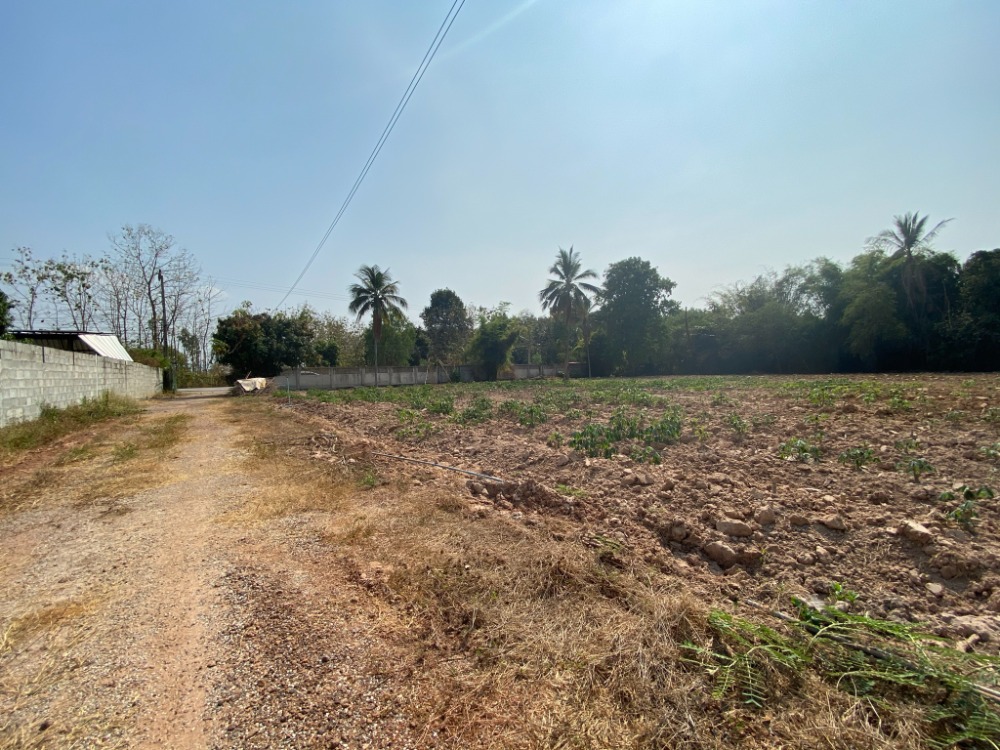 Land for sale 6 rai 18 sq.wa. Ban Pa Subdistrict, Mueang District, Phitsanulok Province. – รูปที่ 3