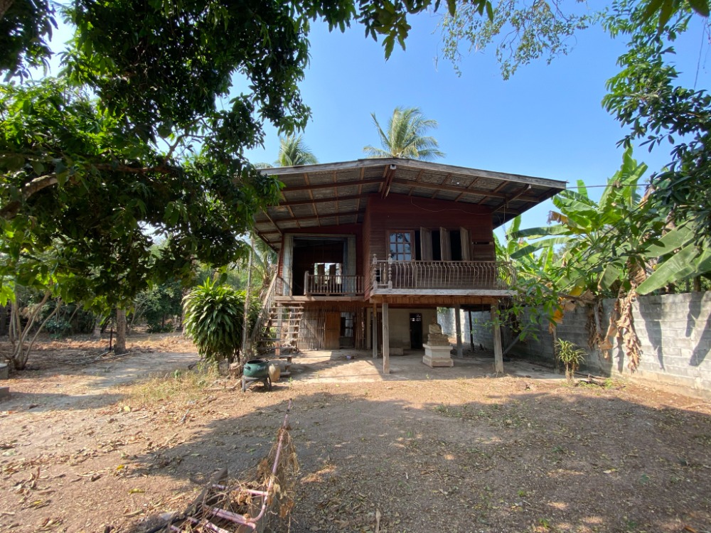 Land for sale 6 rai 18 sq.wa. Ban Pa Subdistrict, Mueang District, Phitsanulok Province. – รูปที่ 4
