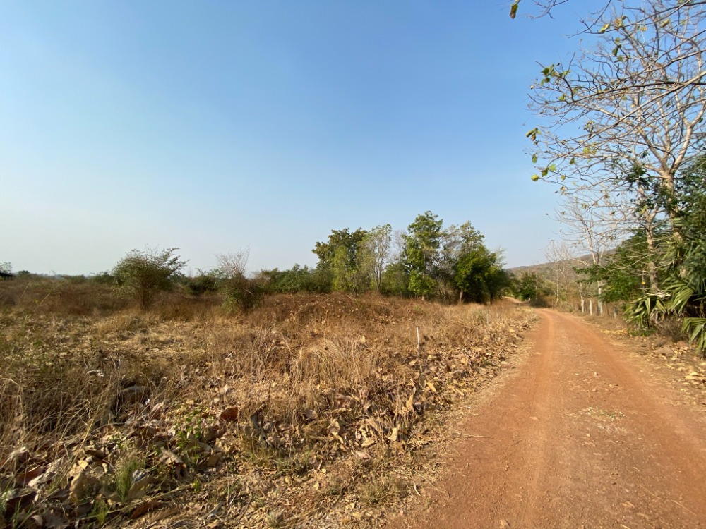 Land for sale 44 rai 1 ngan 71 sq.w., Ban Yang Subdistrict, Wat Bot District, Phitsanulok Province Land for sale 44 rai 1 ngan 71 sq.w., Ban Yang Subdistrict, Wat Bot District, Phitsanulok Province