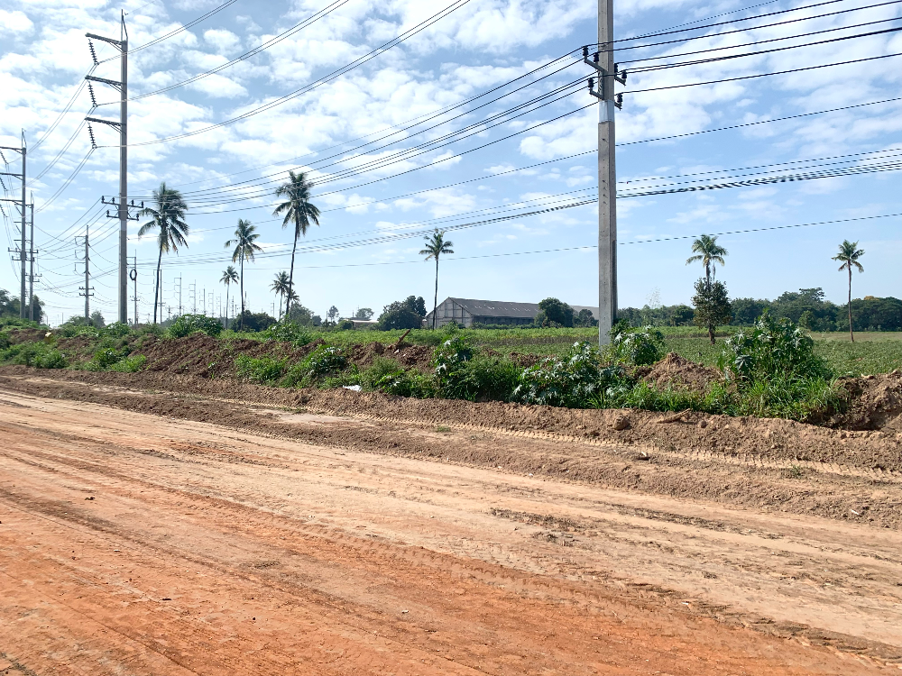 ขายที่ดินติดถนนราชสีมา-โชคชัย เนื้อที่ 46-3-75ไร่ หนองบัวศาลา โคราช – รูปที่ 4