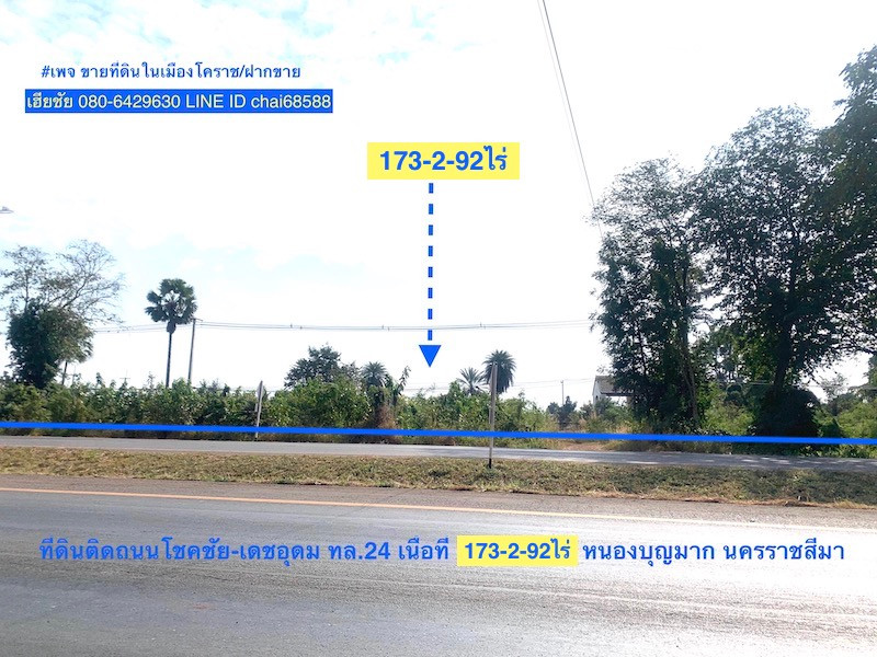 ขายที่ดินติดถนน ทล.24 เนื้อที่ 173-3-48ไร่ หนองบุญมาก โคราช ขายที่ดินติดถนน ทล.24 เนื้อที่ 173-3-48ไร่ หนองบุญมาก โคราช