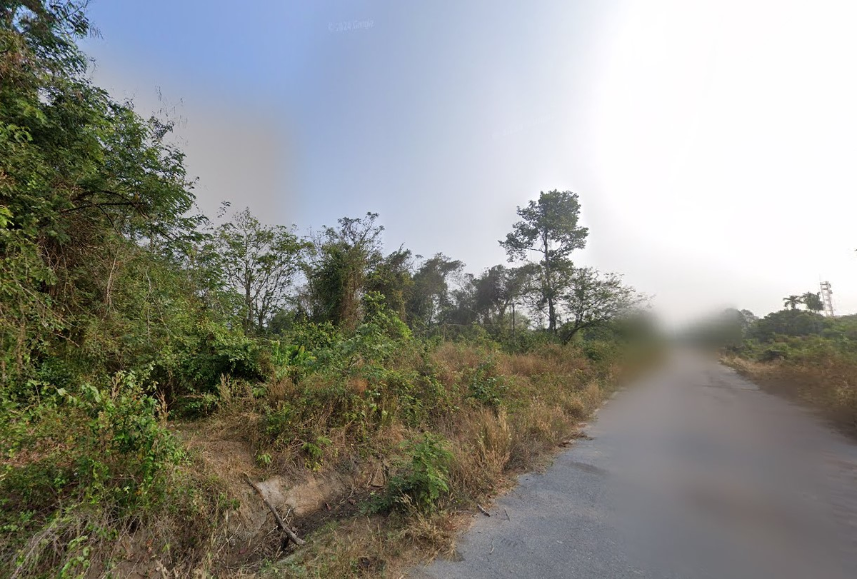 Urgent sale, 7 rai of land, Khok Mai Lai Subdistrict, Mueang District, Prachinburi Province, next to Nakhon Nayok, planting 700 Agarwood trees for 20 years – รูปที่ 2