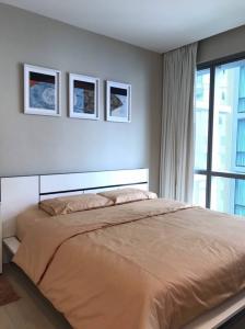 for rent and sale The room 21 🔥🔥
