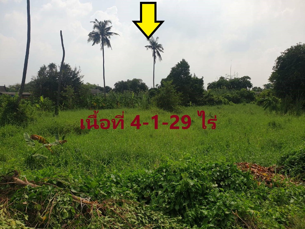 ขาย ที่ดิน ติดถนนซอยวัดมะขาม(วัดศาลเจ้า) แปลงหัวมุม ติดถนน2ด้าน Ref. A01201202 – รูปที่ 3