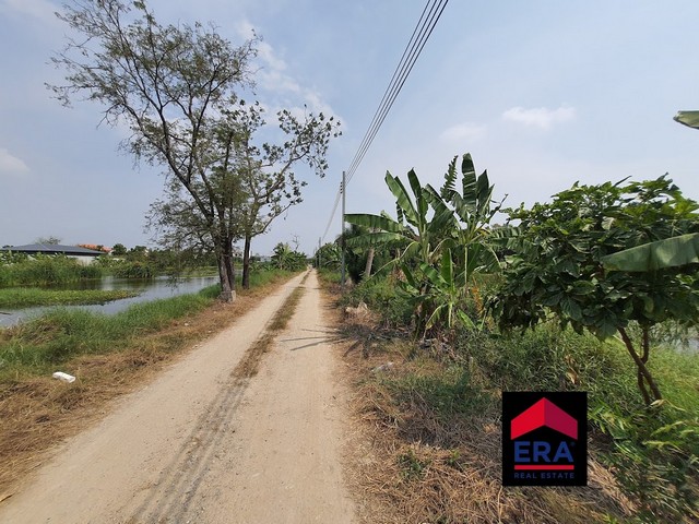 ขายที่ดินบางพลี สมุทรปราการ เนื้อที่รวม 1-1-63 ไร่ ถนนบางนาตราด ตำบลบางแก้ว ออกศรีนครินทร์ได้ – รูปที่ 4