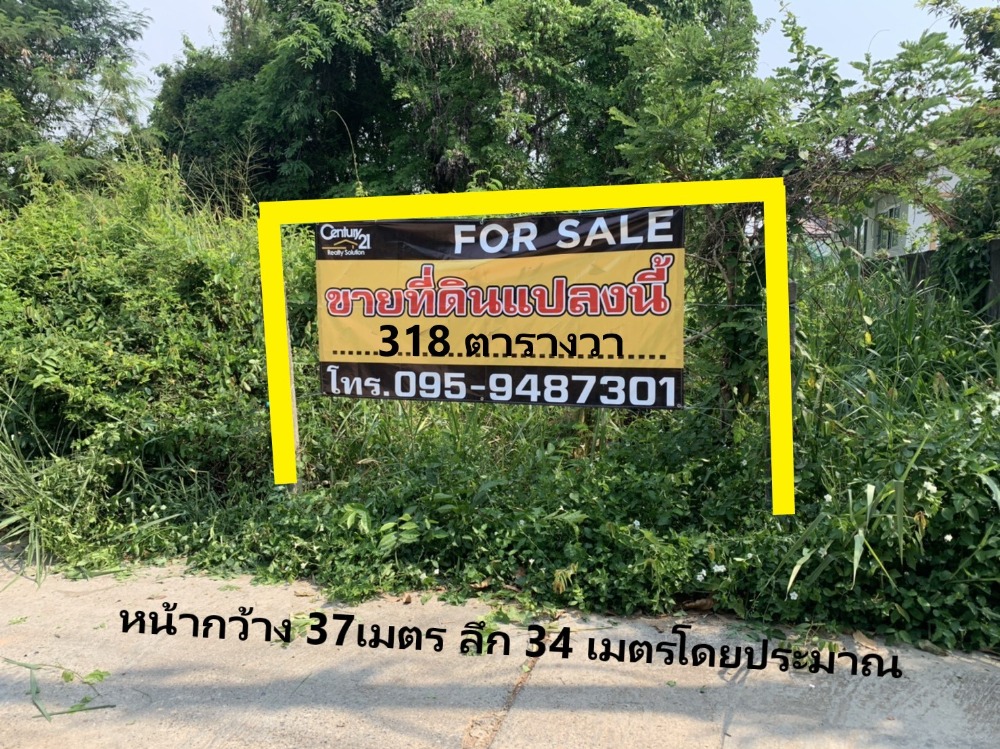 ขายที่ดิน ถนนไชยณรงค์ - อำเภอเมืองนครราชสีมา Ref. A01210401 ขายที่ดิน ถนนไชยณรงค์ - อำเภอเมืองนครราชสีมา Ref. A01210401