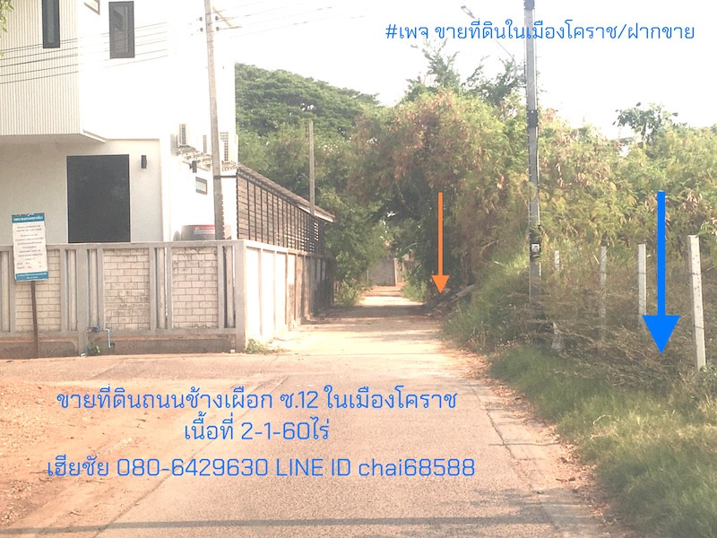 ขายที่ดินในเมืองโคราช ซอยช้างเผือก12 เนื้อที่ 2-1-60ไร่ ใกล้รพ.มหาราชนครราชสีมา ขายที่ดินในเมืองโคราช ซอยช้างเผือก12 เนื้อที่ 2-1-60ไร่ ใกล้รพ.มหาราชนครราชสีมา