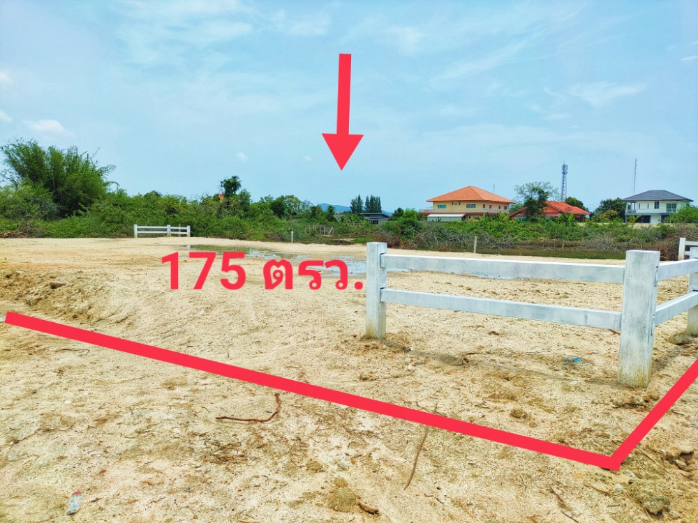 ขายด่วน!! ขายถูกมาก ต่ำกว่าราคาประเมิน!! ที่ดินถมแล้ว 175 ตรว. ทำเลดี อยู่ในตัวเมืองประจวบ ใกล้แหล่งท่องเที่ยวทางทะเล อ่าวประจวบ ห่างถนนเพชรเกษมเพียง 500 เมตร ขายด่วน!! ขายถูกมาก ต่ำกว่าราคาประเมิน!! ที่ดินถมแล้ว 175 ตรว. ทำเลดี อยู่ในตัวเมืองประจวบ ใกล้แหล่งท่องเที่ยวทางทะเล อ่าวประจวบ ห่างถนนเพชรเกษมเพียง 500 เมตร