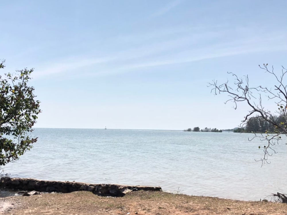 Land for sale, adjacent to the sea Private beach, 200 meters wide, Klaeng District, Rayong Province Land for sale, adjacent to the sea Private beach, 200 meters wide, Klaeng District, Rayong Province