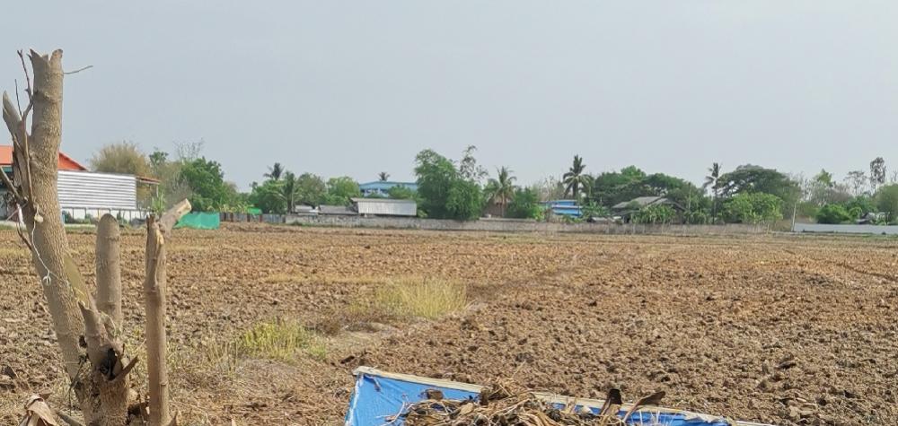 ขายที่ดินพื้นที่สวยมาก​ 12​ ไร่​ 2งาน​ ตำบลแม่ตาวอำเภอแม่สอด​ จังตาก​ที่ตั้ง​ ตำบล​แม่ตาว​ อำเภอแม่สอด​ จังหวัดตากรายละเอียด​ 12​ ไร่​ 2​ งาน​ หน้า​กว้าง​196 เมตร-เขตเศรษฐกิจ​พิเศษ​ติดถนน​2ด้าน-อยู่​ในหมู่บ้านเข้าในเมืองสะดวก-เหมาะทำบ้านจัดสรรทำรีสอร์ททำโ – รูปที่ 2