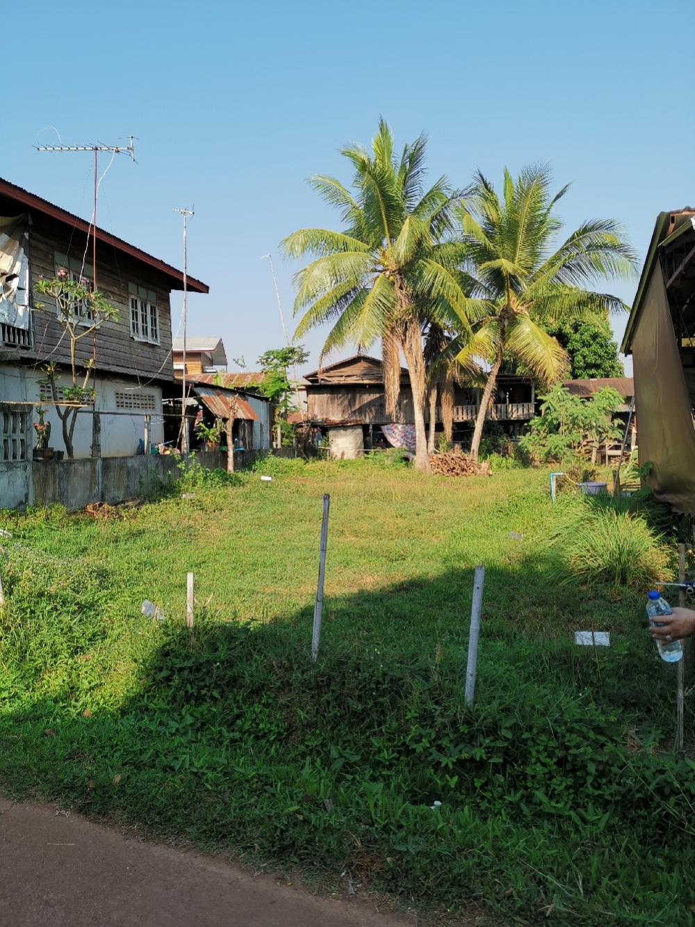 Land for sale 51 square wa near the Government Center, Market District, Police Station, Akat Amnuai District, Sakon Nakhon Province, in the community area. Land for sale 51 square wa near the Government Center, Market District, Police Station, Akat Amnuai District, Sakon Nakhon Province, in the community area.