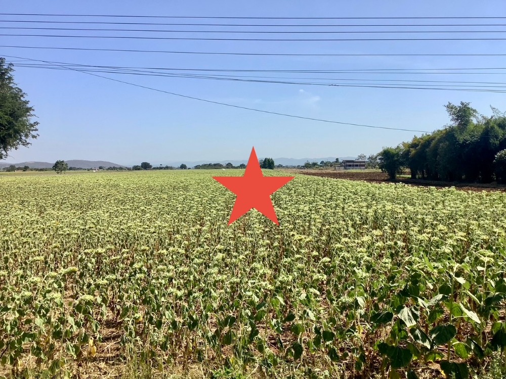 Land for sale  urgently selling vacant land. Very beautiful plot, excellent atmosphere, nearby mountain view convenient location, Pasak Jolasid Dam, Khao Chong, Saraburi