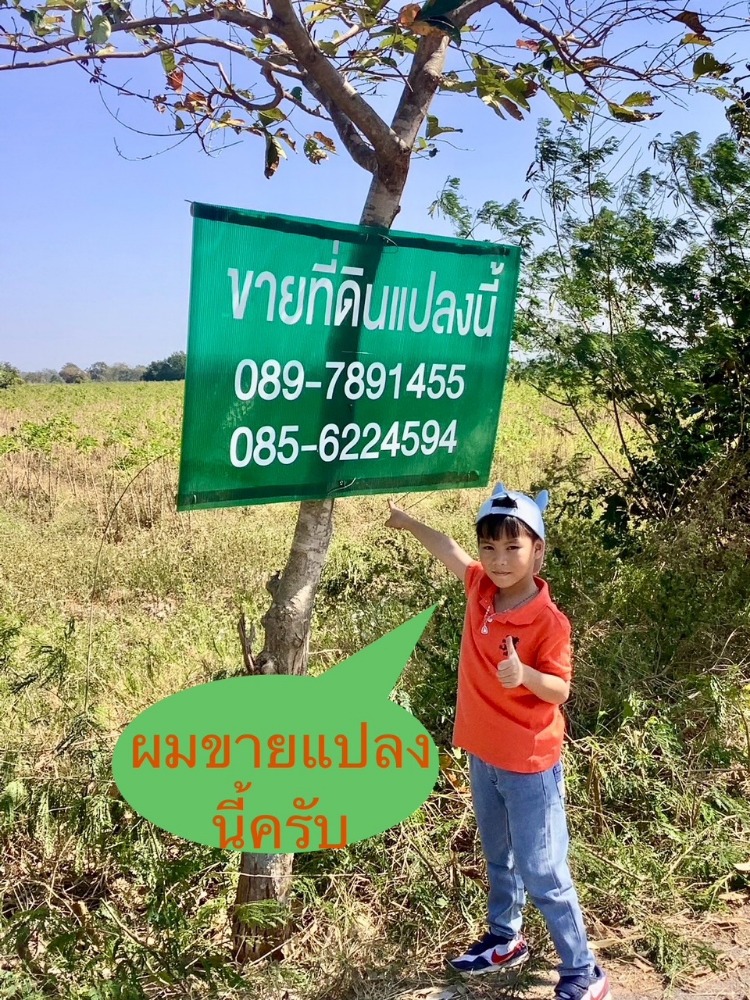 Land for sale / 土地出售 ขายที่ดินเปล่า พื้นที่สีม่วง แปลงสวย วิวเขา เหมาะกับโครงโรงงาน ไฟฟ้าถึง อ.พัฒนานิคม ลพบุรี เดินทางสะดวกใกล้สระบุรี เขื่อนป่าสักชลสิทธิ์สนใจราคาต่อรองได้ Land for sale / 土地出售 ขายที่ดินเปล่า พื้นที่สีม่วง แปลงสวย วิวเขา เหมาะกับโครงโรงงาน ไฟฟ้าถึง อ.พัฒนานิคม ลพบุรี เดินทางสะดวกใกล้สระบุรี เขื่อนป่าสักชลสิทธิ์สนใจราคาต่อรองได้