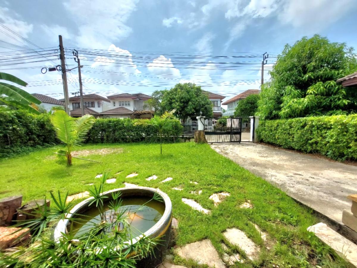 ให้เช่า บ้านเดี่ยว2ชั้น 70 ตรว. ถ.พุทธมณฑลสาย3 ใกล้สนามหลวง2 – รูปที่ 3