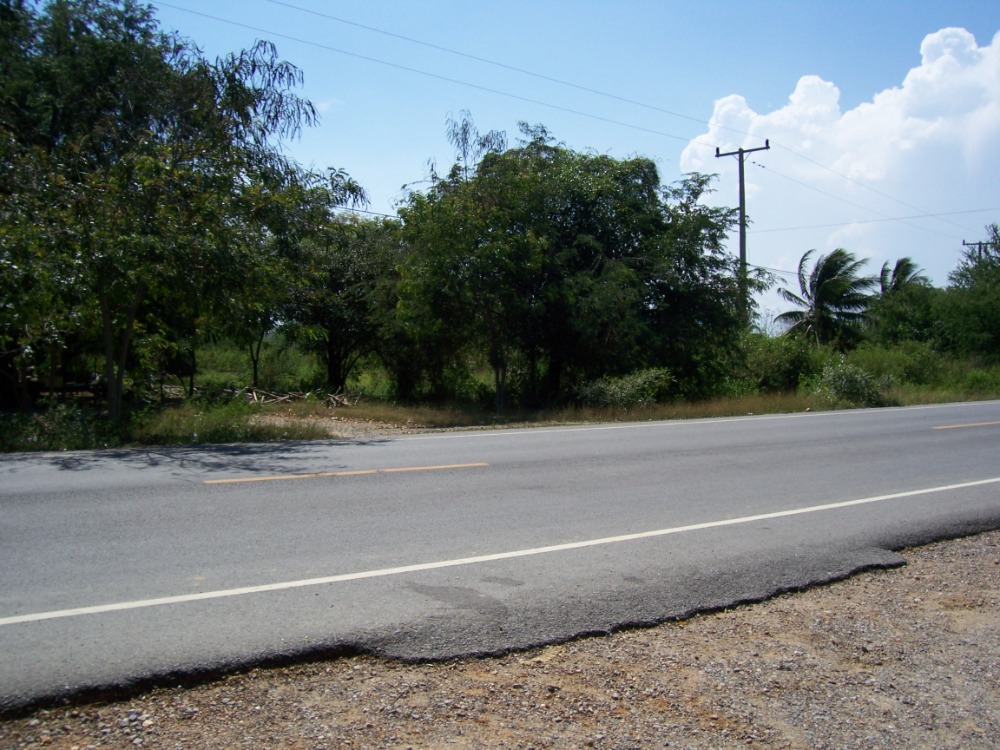 ขายที่ดิน 9 ไร่ หาดเจ้าสำราญ ห่างจากทะเล 300 เมตร จังหวัดเพชรบุรี * – รูปที่ 2
