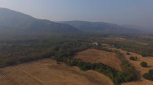 Impeccable view for sale, 17 rai of Khao Yai land suitable for growing a luxury house Planted trees around the mountain view behind Dusit D2.