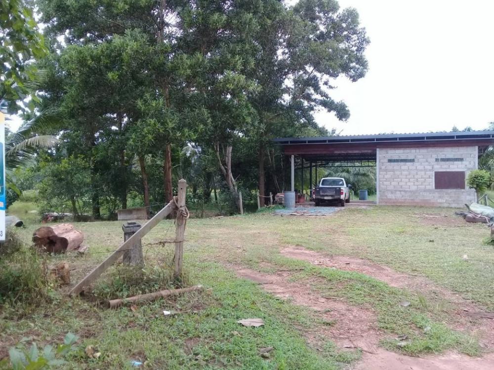 ขายที่ดินสวย 6 ไร่ 3 งาน 25 ตร.วา เหมาะทำที่อยู่อาศัย ทำสวนเกษตร มีบ่อเลี้ยงปลา มีสวนมะพร้าว ขายที่ดินสวย 6 ไร่ 3 งาน 25 ตร.วา เหมาะทำที่อยู่อาศัย ทำสวนเกษตร มีบ่อเลี้ยงปลา มีสวนมะพร้าว