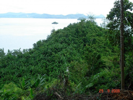 ขาย ที่ดินติดทะเล ภูเก็ต อ่าวกุ้ง 56-1-3 ไร่ เหมาะทำรีสอร์ท บ้านพัก – รูปที่ 3