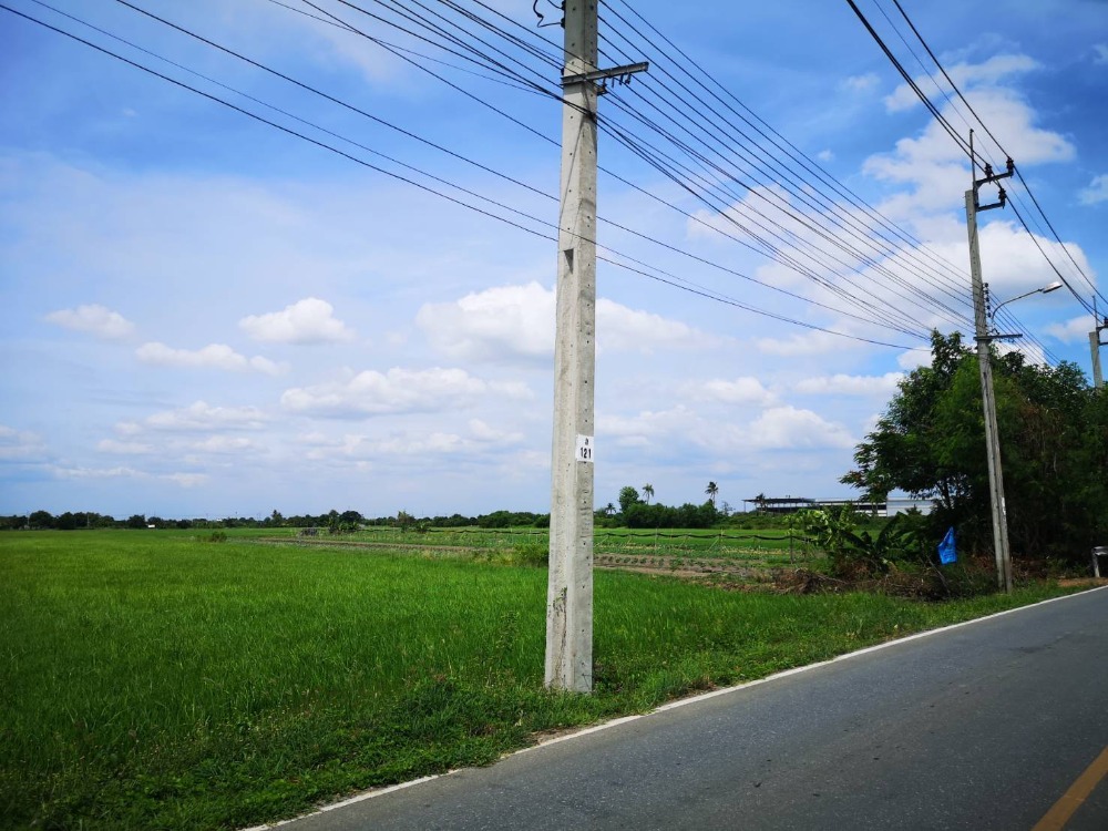 ที่ดิน 20-1-12.5 ไร่ เลียบคลองโยง บางใหญ่ นนทบุรี ติดถนนสาธารณะ ศาลายา พุทธมณฑล ที่ดิน 20-1-12.5 ไร่ เลียบคลองโยง บางใหญ่ นนทบุรี ติดถนนสาธารณะ ศาลายา พุทธมณฑล