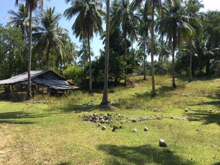 ขาย ที่ดินติดทะเล ภูเก็ต เกาะราชา อ่าวขอนแค 83-2-20 ไร่ เหมาะทำรีสอร์ท บ้านพัก ขาย ที่ดินติดทะเล ภูเก็ต เกาะราชา อ่าวขอนแค 83-2-20 ไร่ เหมาะทำรีสอร์ท บ้านพัก