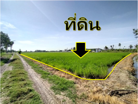ขาย ที่ดิน ไทรน้อย คลองขุนศรี 8-1-50 ไร่ เหมาะทำโรงงาน โกดัง คลังสินค้า ขาย ที่ดิน ไทรน้อย คลองขุนศรี 8-1-50 ไร่ เหมาะทำโรงงาน โกดัง คลังสินค้า