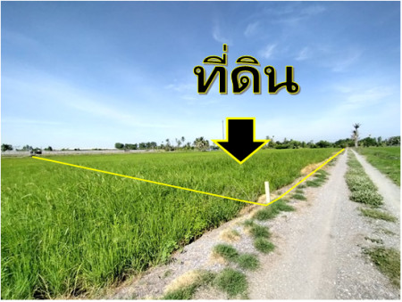 ขาย ที่ดิน ไทรน้อย คลองขุนศรี  8-1-50 ไร่ เหมาะทำโรงงาน โกดัง คลังสินค้า – รูปที่ 2