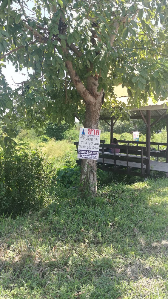 Sell/rent a very beautiful empty land, next to Malai Man Road, on Highway No. 321, area 6 rai 80 sq wa, width 80 meters, depth 110 meters, opposite Wat Chaimongkol, 321 road to the city side, Suphanburi. – รูปที่ 4