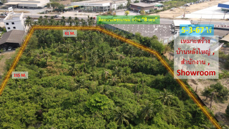 Land for sale, Thammasala Subdistrict, Mueang Nakhon Pathom District # Next to Petchkasem Road, 8 lanes wide (suitable for building a big house, office + showroom) 5-3-67 rai, width 61 m. – รูปที่ 2